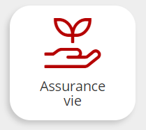 Assurance Vie